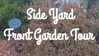 October Sideyard & Frontyard Garden Tour🍂