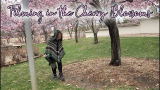 Filming in the Cherry Blossoms - A Behind the Scenes at the Japanese Garden