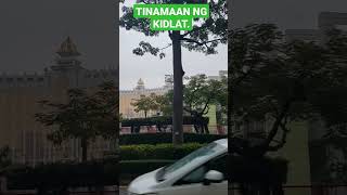 TINAMAAN NG KIDLAT EKSAKTO  NAKUHANAN NG VIDEO, GALING!