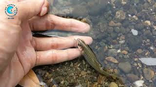 MANCING IKAN TAPI GAK BAWA PULANG IKAN