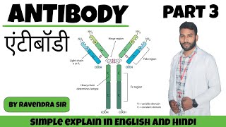 Antibody | structure of antibody | types of antibody | function of antibody | L3 | by Ravendra sir