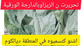 نسخة من بدأت قناة "أمازيغ ونفتخر ⵍⵎⵖⵔⵉⴱ ⵏ ⵓⵎⴰ ⵣⵉⵖ" بثًا مباشرًا