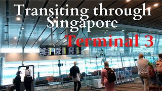 The reality of Transit in Singapore in 2022 |  Changi Airport