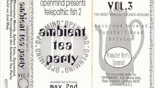 Mixmaster Morris ambient mix @ Telepathic Fish, Ambient Tea Party 1993