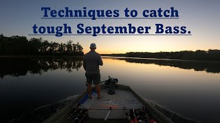 Mastering the September Transition: Tips and Tricks for Hooking Largemouth Bass