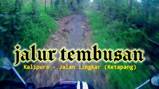 Jalur tembusan Kalipuro-Jalan lingkar (Ketapang) |daily coverage|2021