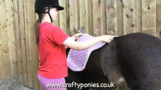 PONY LESSONS: How to put a saddle on