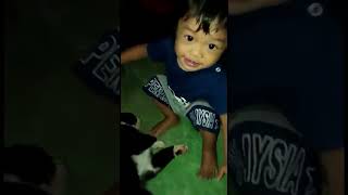 Suka sangat kacau kucing...