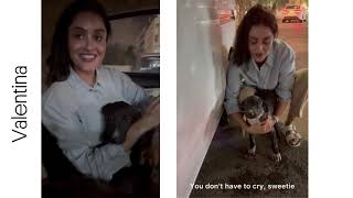 Terrified Puppy Crying for Help Outside Our Office 💔 | Meet Valentina 🆘