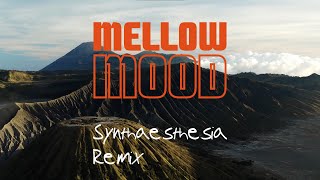 Mellow Mood Don't leave i Lonley - Synthaesthesia Remix - Lyric Video