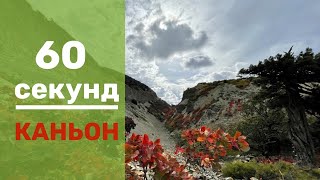 КАНЬОН - ОСЕННИЙ НАРЯД #60_секунд #Утриш #Каньон