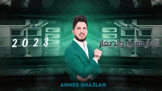 احمد غزلان - المايعشك ولا يغار || (حصريا) 2023 Ahmed Ghazlan