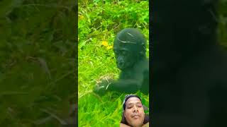 Gorilla mama Play with baby gorilla 🤩🤩🤩🦍 #viral #viralvideo #shorts #views #trending #shortsfeed