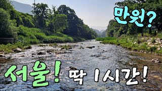 찾았다! 서울 1시간 얼음장 계곡과 느티나무 그늘 까지! 단돈 만원대 캠핑 차박 장소 공개! Korea camping channel