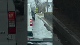 Canada goose crossing