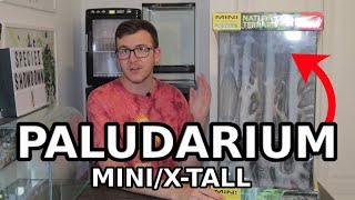 What to put in a Paludarium Mini/X-tall | Tank Suggestions