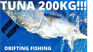 PESCA ATUN ROJO con CAÑA🦾 Stand Up ¿200kg?