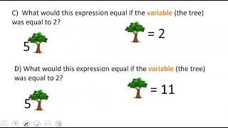 Expression Variable Coefficient Constant and Term Defined