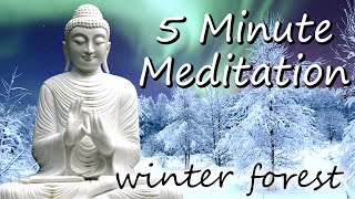 5 Minute Meditation Timer [Winter Forest | Unguided]