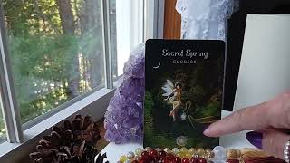 Sept 10, 2024 Daily Angel Message🌺~ YOU WILL HAVE SUCCESS!