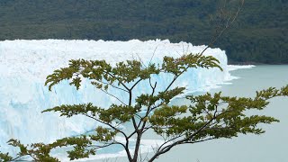 Perito  Moreno et balade en 4,4 a calafate.