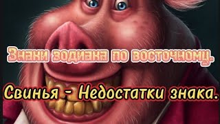 Знаки зодиака по восточному. Свинья - Недостатки знака.