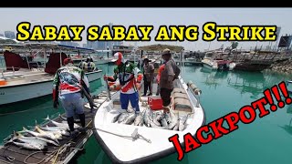 Sobrang daming isda sabay sabay kumakagat | Abu Dhabi Fishing | Boat Casting #fishing #fishingvideo