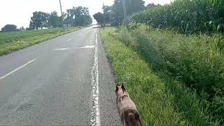 Rural back roads of Pennsylvania