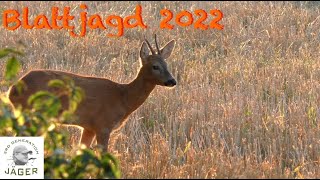 Blattjagd 2022