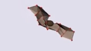 Bats Perform Complex Aerial Rotation