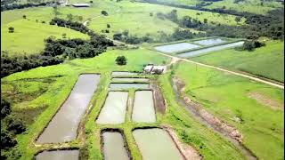 Fazenda à Venda, Setor Central - Goiânia/GO Informações +55 51 9742-0195