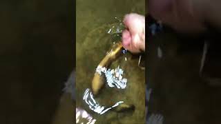 Amazing Rural Fishing Video 🐟 Best Asian Fishing Technique 🐟 #shorts