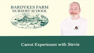 Carrot Experiment with Stevie