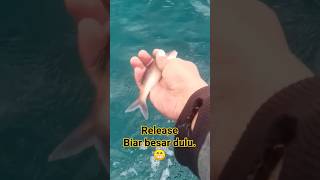 mancing disambar ikan kecil, auto release!! #fishing #mancing #mancingmania #shortsyoutube #adonara