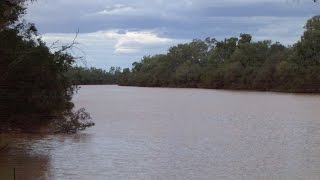 The Jade perch story Part 2 WILD BROODSTOCK Finding The Fish