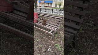 Завезли красоты на проспект #city #new #bench