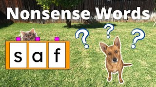 Professor Ginger and Axle and Nonsense Words - Blend and Read Nonsense Words