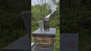 Smok'n Hot Summer! #beekeeping