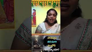 పామలు కలలోకి వస్తే దేనికి సంకేతం Part - 3 | #Shorts | #SambhaShiva