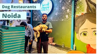 Noida Dog Restaurant | Bark Street Restaurant