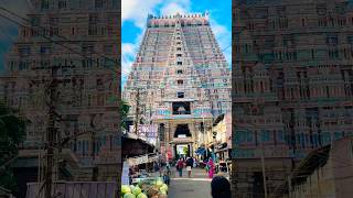 India Trip Vlog -5 #tamivlogs #travelvideo #srirangam #trending #traveldiaries #indiatrip #temple