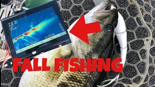 Fall Fishing Tips for Lake Lanier and Hartwell!(What is the TURNOVER??)