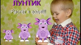 Лунтик. Растет в воде 3 дня подряд. Лунтик игрушки. Luntik.