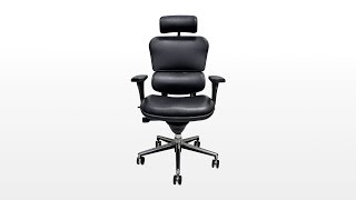 Raynor Ergohuman Chair Assembly Review