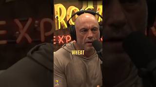 JOE ROGAN and GARY BRECKA on modern diet #joerogan #jre #shorts #viral #trending