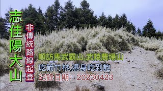 登志佳陽大山,從武陵農場億年橋起登,挑戰非傳統探勘路線,順取馬武霸山、武陵農場山,吃箭竹林濕身吃到飽-FP191,1