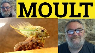 🔵 Molt Meaning - Exuviate Examples - Moult Definition - Exuviate Moult Molt