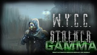 S.T.A.L.K.E.R. Anomaly GAMMA #3 (Стрим от 17.05.2023)