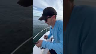 Dr. Cod-bottom fights huge bluefish off Block Island RI #shorts #fishing #saltwaterfishing #funny