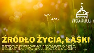 Źródło, życia i zmartwychwstania - ks. Krzysztof Gryz Radio Maryja Toruń Sanktuarium Homilia